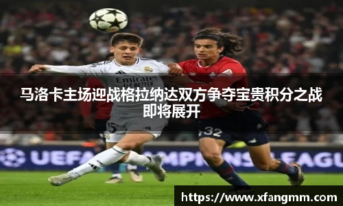 开运电竞